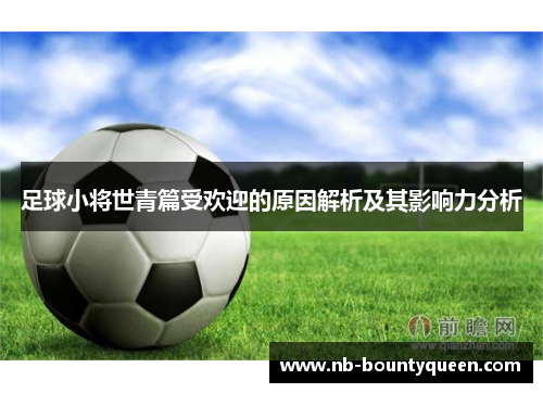 足球小将世青篇受欢迎的原因解析及其影响力分析